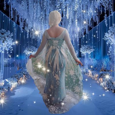 ELSA 1 