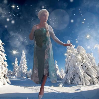 ELSA